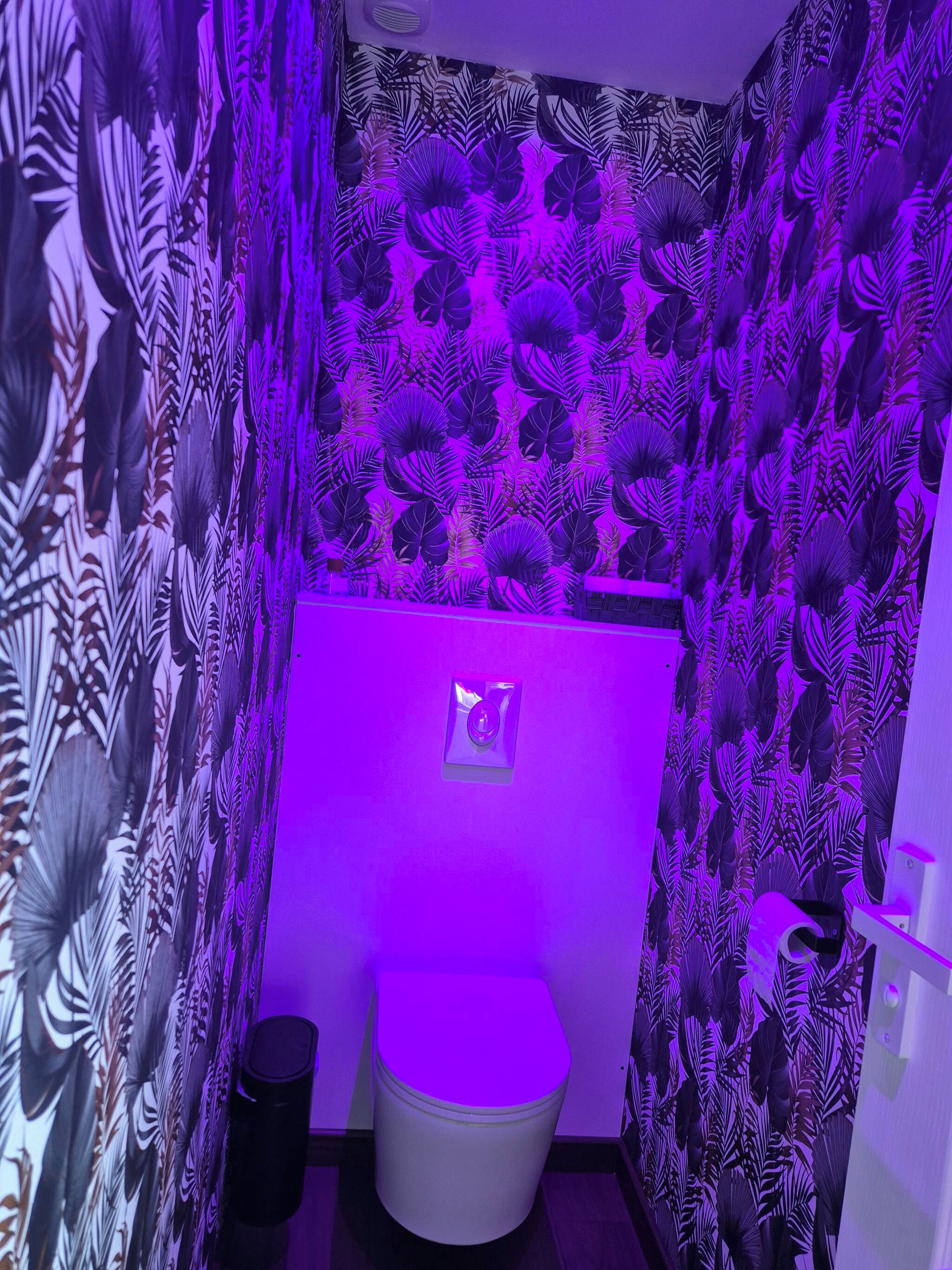 Une salle de bain avec des toilettes, une poubelle et un mur orné d’un motif de feuilles.