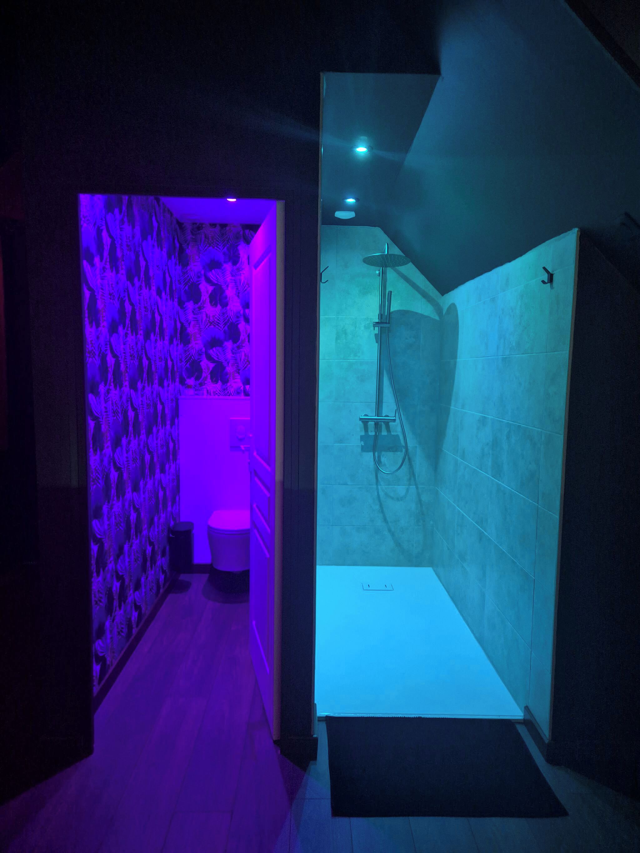 Un couloir étroit avec un espace douche doté d’une porte en verre et d’un mur carrelé.