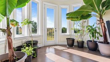 A sunlit room with large windows, potted plants, and a wooden floor.
