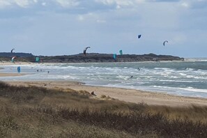 En strand där folk håller på med kitesurfing och badar.