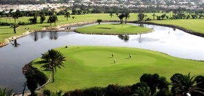 Camp de golf amb una bassa, palmeres i una zona residencial al fons.