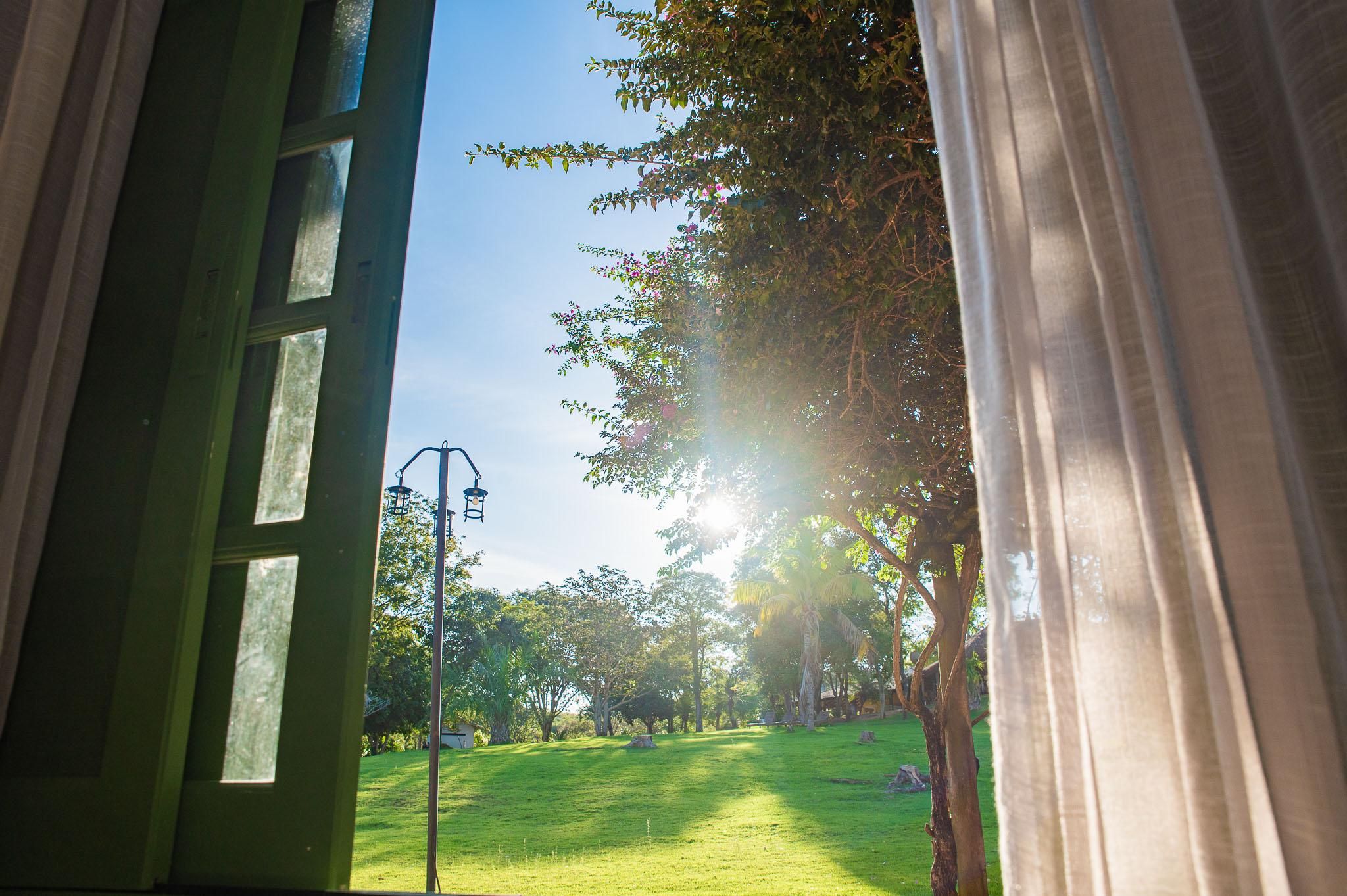 A view through a window with a grassy yard, trees, and a street lamp.