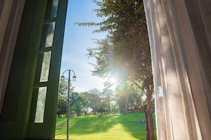 Vista a través de una ventana con un jardín, árboles y una farola.