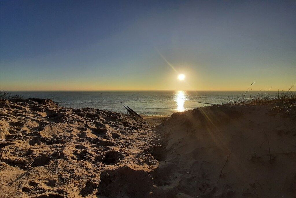 A beach with a clear sky and the sun low on the horizon.