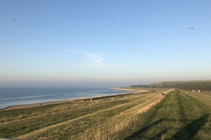 Un paysage côtier avec une plage, des champs couverts d’herbe et un ciel dégagé.