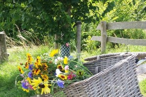 A wicker basket filled with colorful flowers placed on a grassy area beside a wooden fence. - Holiday apartment with 1 bedroom (Zoutelande)