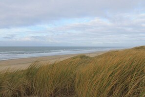 A beach with dunes and ocean. - Apartment in Julianadorp with swimming pool (Julianadorp)