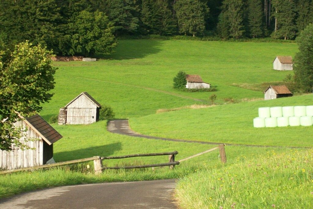 A rural landscape with a dirt road leading to a wooden fence and a small building.