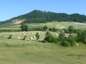 Paisaje rural con bloques de heno en un campo, una colina con árboles al fondo y un cielo despejado.