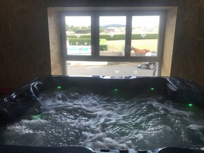 A hot tub with water jets, a window view of a horse, and a vehicle outside.