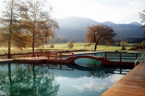 A serene outdoor pool area with a wooden deck and a bridge, surrounded by trees and a distant mountain range. - Holiday apartment with 2 bedrooms (Samerberg)