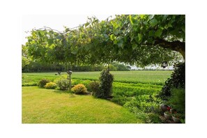 Untagged - Forest cottage by the sea (Sint Maartensvlotbrug)