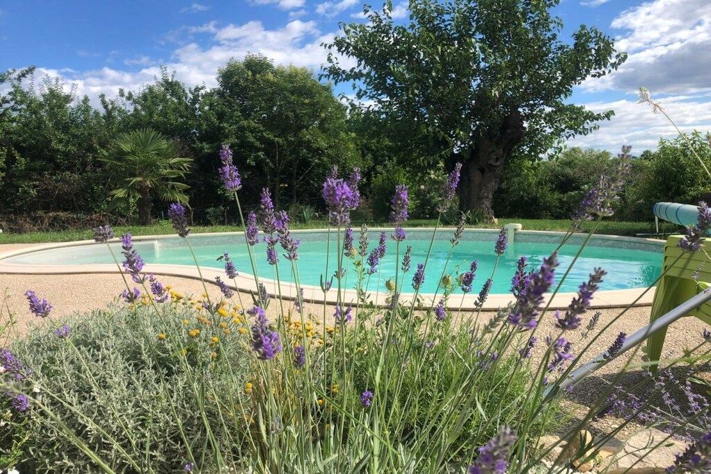 A swimming pool surrounded by greenery and lavender plants.