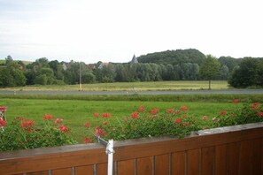 A view of a green field with red flowers in the foreground, a road in the middle ground, and a building on a hill in the background. - Holiday apartment with 2 bedrooms (Altdorf-Rasch)