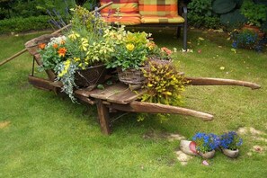Une brouette en bois remplie de différentes plantes et fleurs en pot.