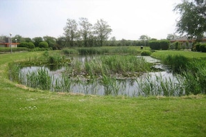 A pond surrounded by grass and trees, with a building in the background. - Holiday home with 2 bedrooms (Den Helder)