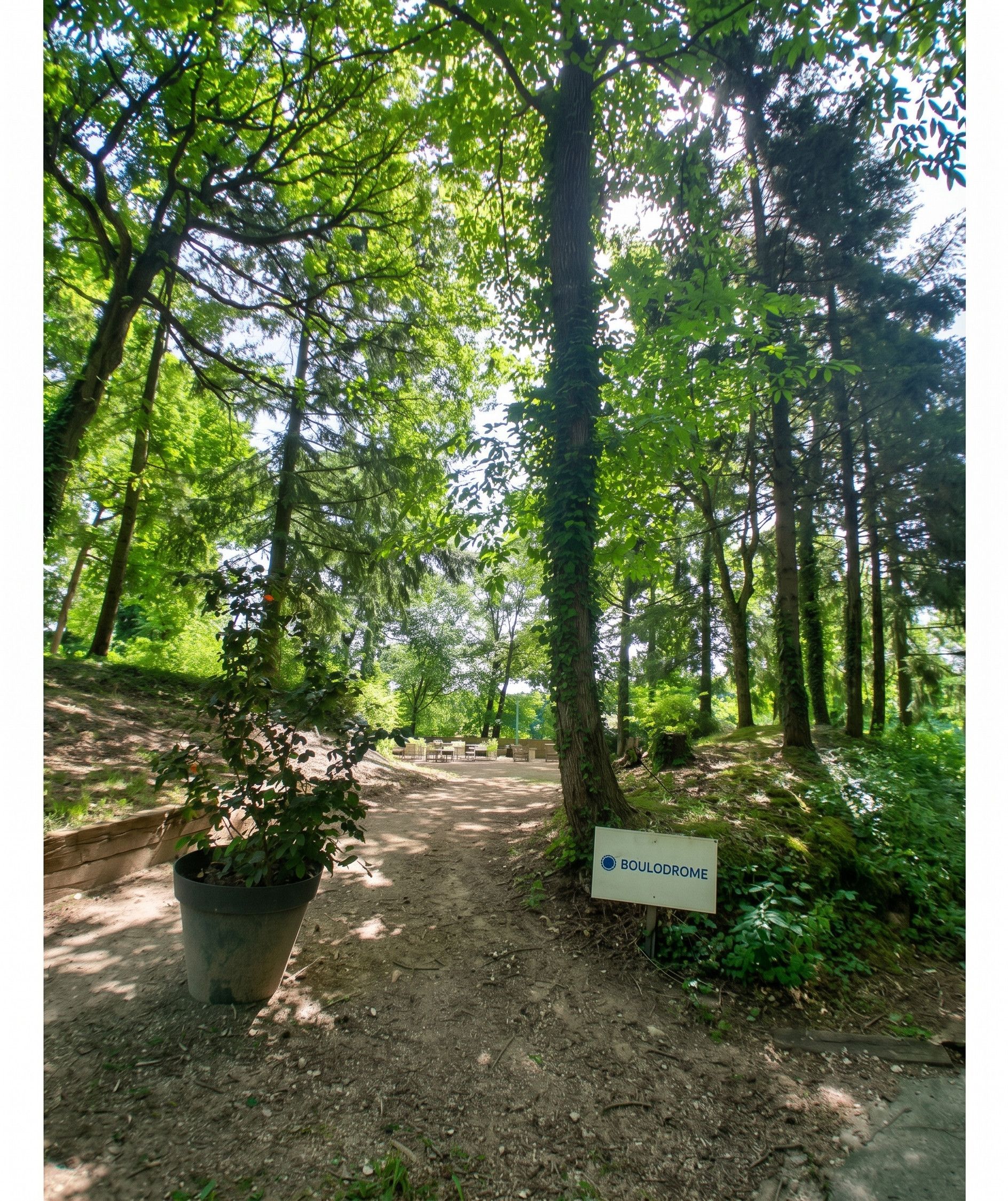 Petanque strip