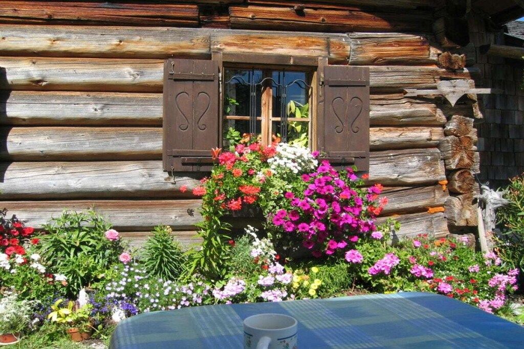 A log cabin with a window and shutters, surrounded by a variety of potted plants and flowers.