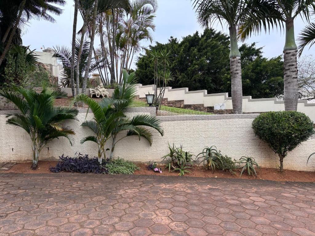 A paved walkway with palm trees and a white wall with steps leading up to a building.