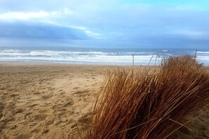 Ein Strand mit Sand und Wellen, bewölkter Himmel und hohes Gras im Vordergrund.