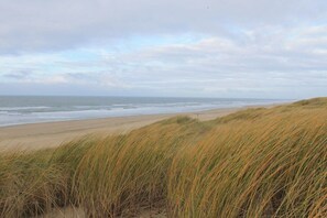 A beach with dunes and the ocean. - Beach House Ogentroost (Julianadorp)