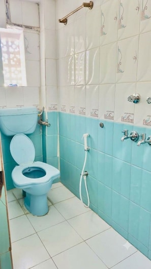 A bathroom with a toilet, a shower, and a sink. - Hotel Hermosa Pushkar (Pushkar)