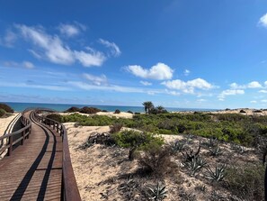 Ein hölzerner Steg führt zu einem Strand mit blauem Himmel und spärlicher Vegetation.