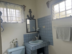 A bathroom with a toilet, sink, mirror, and a window with a curtain. - Rehoboth Ginnah Manor - Rural Chalet w/ Wifi & AC (Sand Hill)