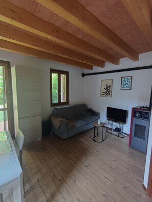 Ein Zimmer mit Holzboden, einem grauen Sofa, einem Fernseher auf einem Schrank und einer kleinen Kommode.