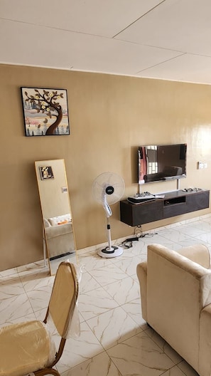 A living room with a flat-screen TV, a standing fan, a sofa, a chair, a large mirror, and a wall-mounted picture. - New Listing (Abidjan)