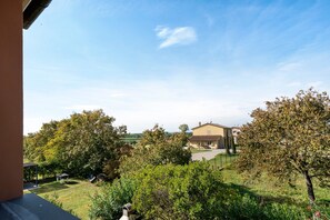 A residential area with a house, trees, and a clear sky.