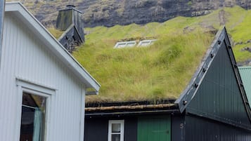 En byggnad med en grön dörr och ett litet fönster, placerad mot en sluttning.