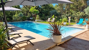 A swimming pool with lounge chairs and a potted plant. - New Listing (Pertuis)