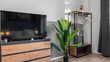 A modern living room with a flat-screen TV on a wooden cabinet, a large green plant, and a metal shelving unit.