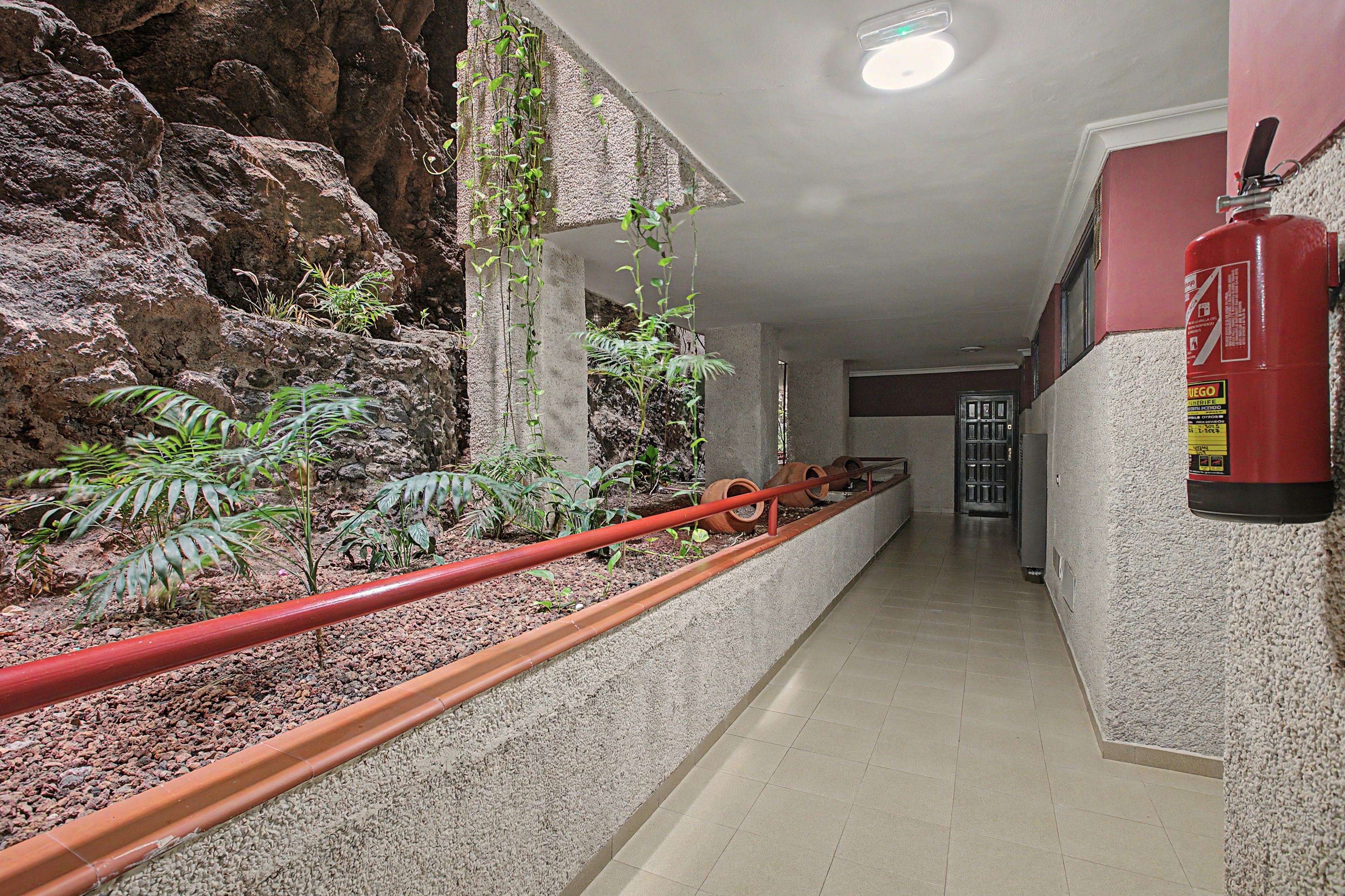 Un pasillo con una pared rocosa a un lado y una tubería roja que recorre el suelo.