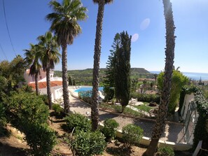Ein Poolbereich mit Palmen und Blick auf das Meer.