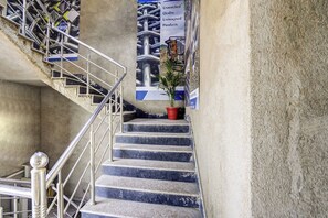A concrete staircase with metal railings and a potted plant at the bottom.
