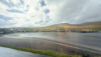 A coastal road with a wet surface, a grassy verge, and a town in the background with buildings and hills.