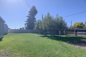 Ein Garten mit Rasen, einem Holzzaun und einem hohen Baum.