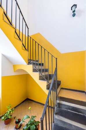 Un escalier avec des rampes noires, des murs jaunes et des plantes en pot à sa base.