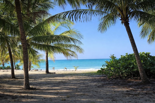 A beach with palm trees and a clear view of the ocean. - Exclusive Beachfront Retreat With Private Pool in Loíza, Puerto Rico (Loiza)