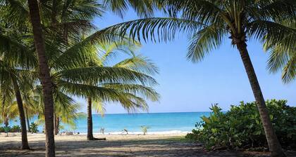 Exclusive Beachfront Retreat With Private Pool in Loíza, Puerto Rico