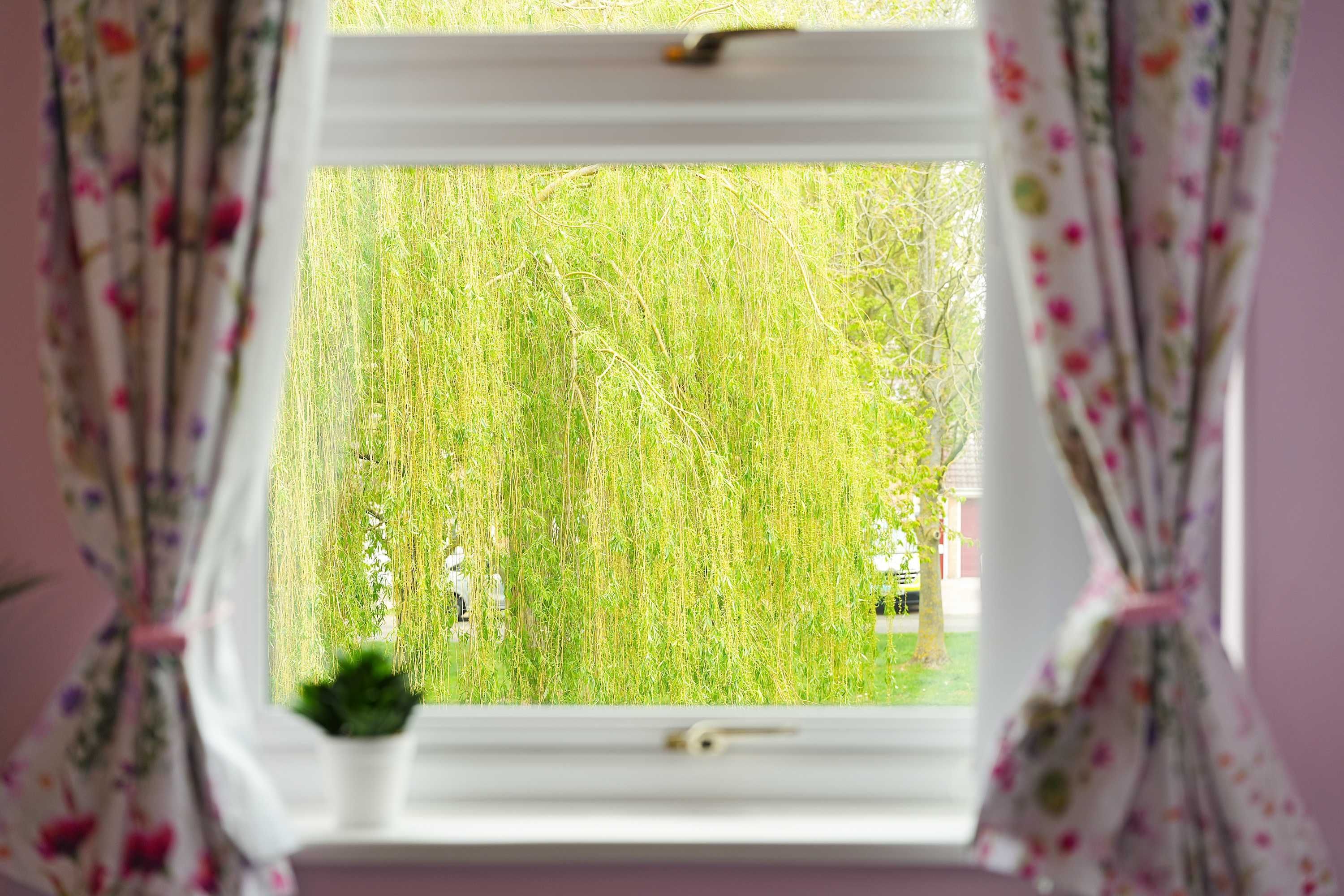 A window with a view of a grassy field.
