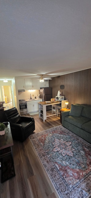 A modern living room with a sofa, a coffee table, and a patterned rug. - Cozy, newly renovated, one bedroom apartment in Kingston,  TN (Kingston)