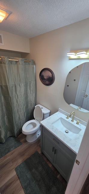 A compact bathroom with a toilet, sink, and shower curtain. - Cozy, newly renovated, one bedroom apartment in Kingston,  TN (Kingston)