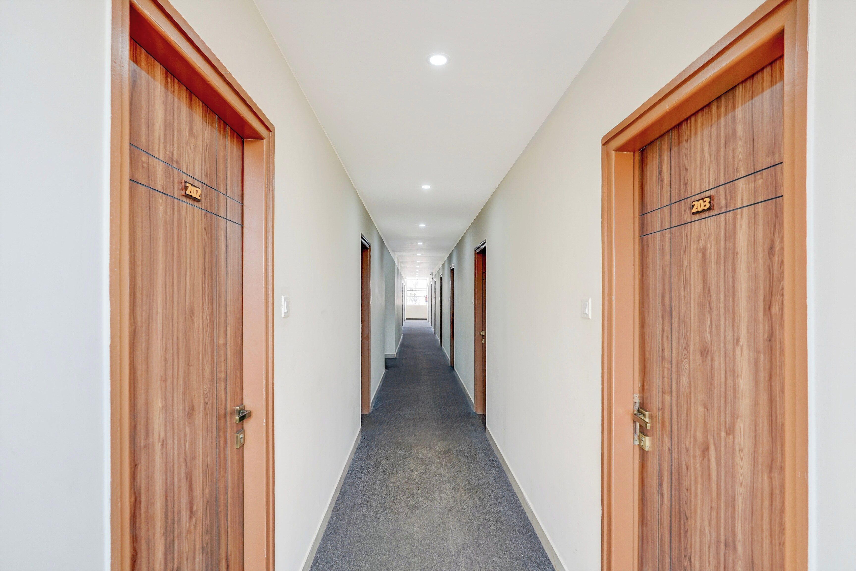Un pasillo de hotel con puertas de madera, placas con números de habitación y piso alfombrado.