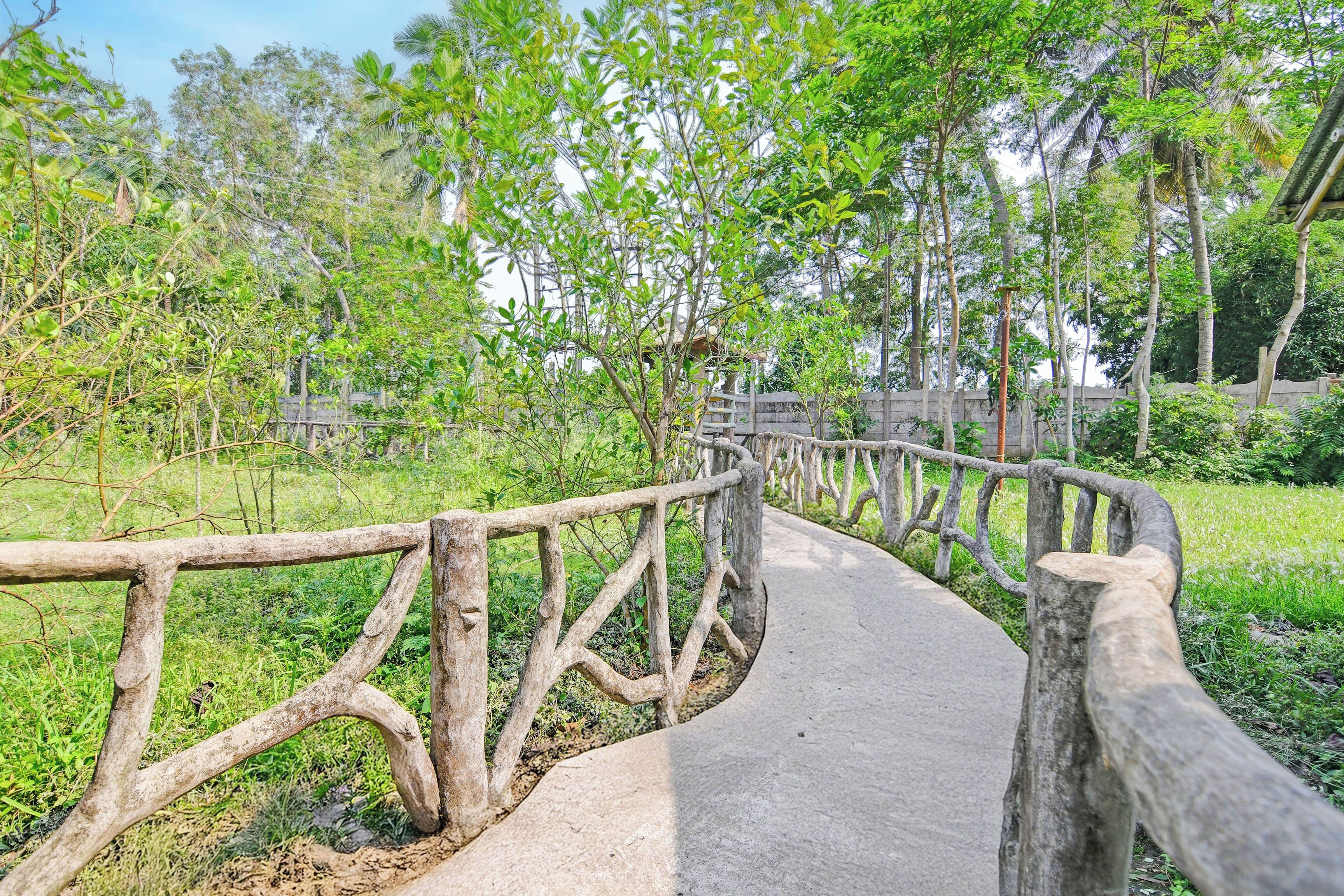 Un sendero de madera curvo con barandas, rodeado de abundante vegetación y árboles.