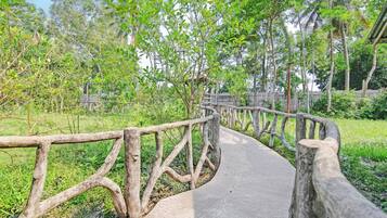 Un sendero de madera curvo con barandas, rodeado de abundante vegetación y árboles.