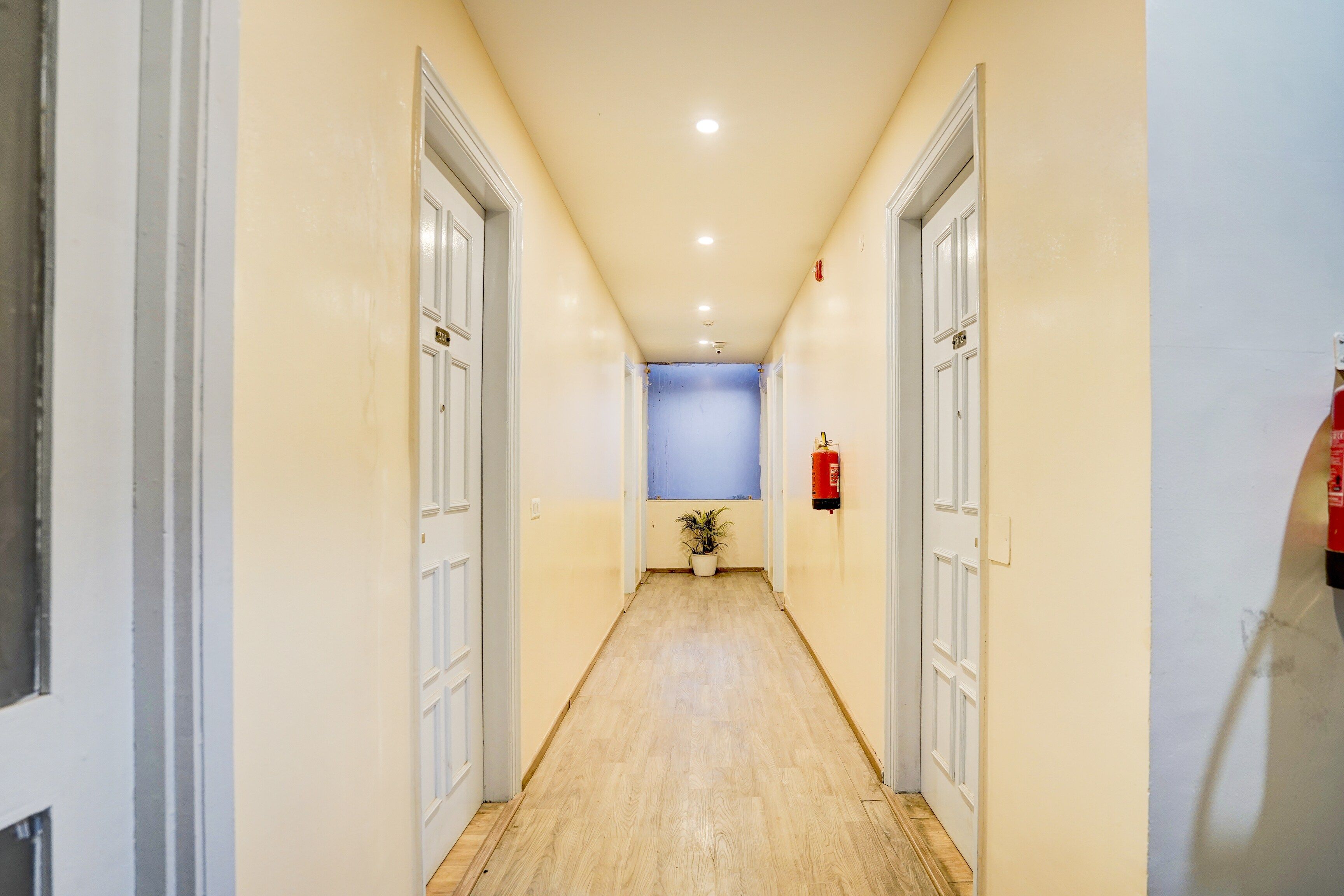 Un pasillo con suelo de madera, puertas blancas y una pared azul al final.