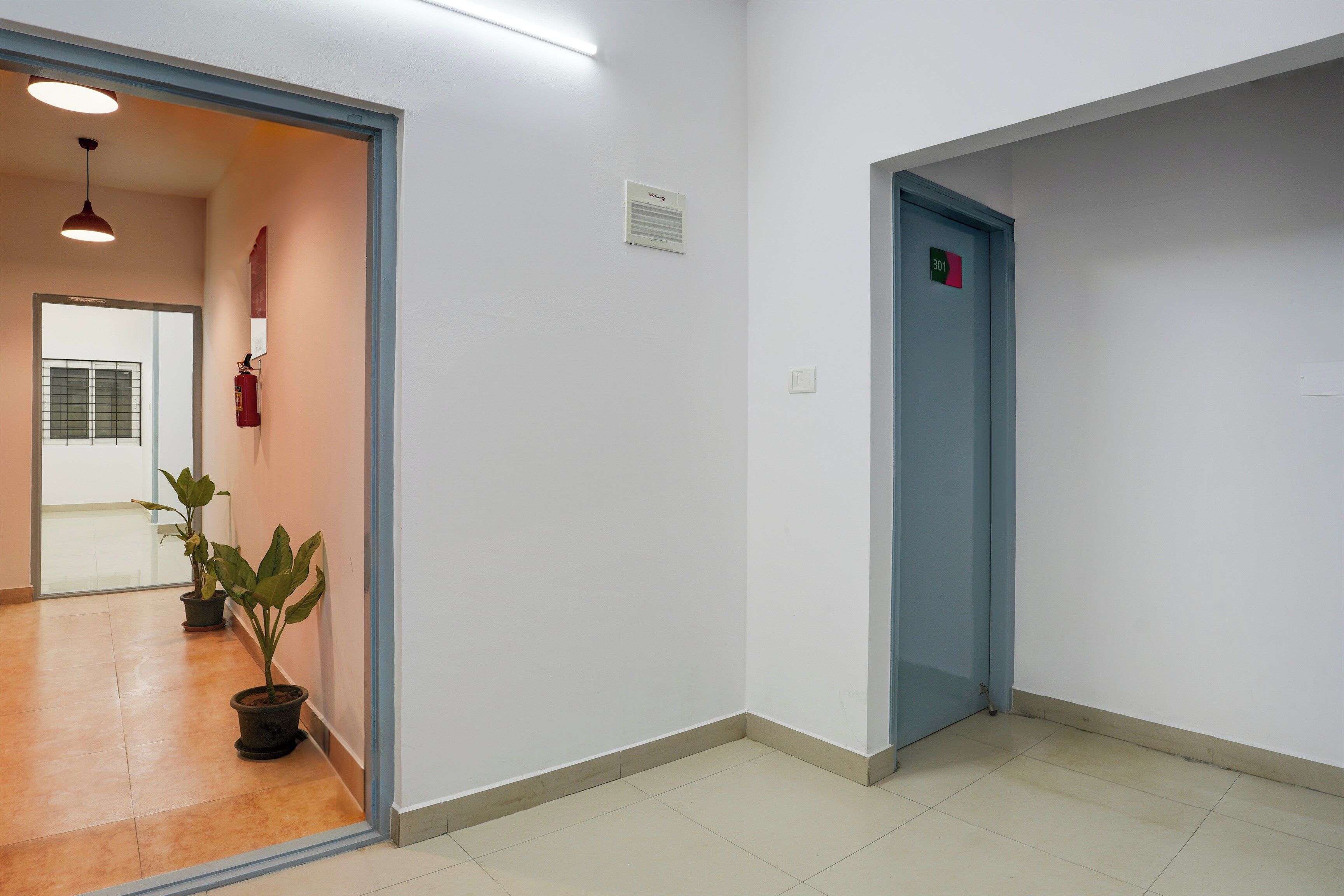 Un pasillo con una puerta marcada '301' y una planta en maceta.